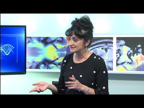 იმპულსი- საკვერცხის აპოპლექსია, თვალსაჩინო სიმპტომები რომელთა უყურადღებოდ დატოვება არ შეიძლება