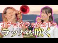 【幸せを呼ぶ】イチョウラッパの下でラッパを吹く【天空の菜の花畑】
