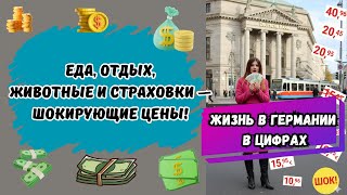 Жизнь в Германии в цифрах: еда, отдых, животные и страховки — шокирующие цены!