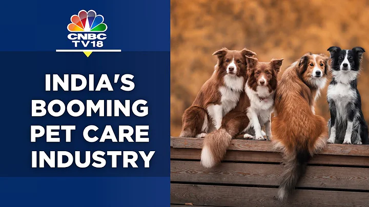 India's Pet Care Industry Is Set To Touch ₹10,000 Cr By 2025 | N18V | CNBC TV18 - DayDayNews