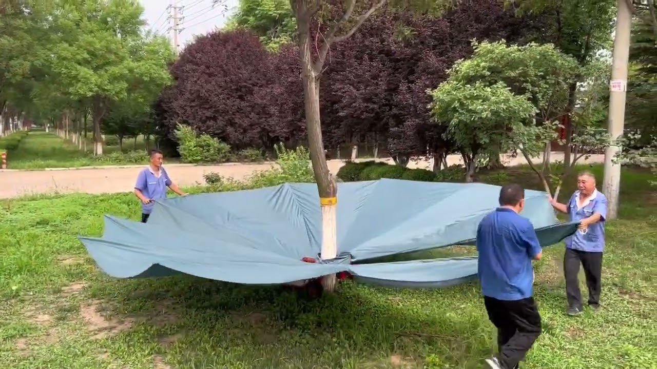 Crawler self-propelled collecting umbrella fruit shaking machine fruit picking vibration