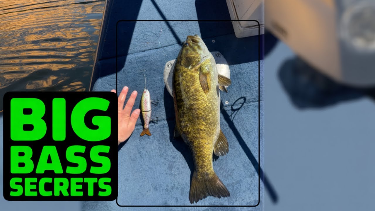 How to catch big bass in Lake Mojave with a glide bait! Personal best!