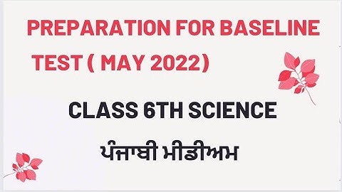 Class 6th Science ,   Baseline Test Preparation ( May 2022 ). Punjabi Medium.