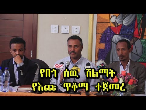 ቪዲዮ: የእጩ ተውላጠ ስም ናቸው?