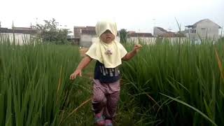 Unofficial Video Clip: Ramadhan Kurindu