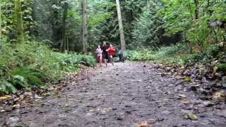 STV: Terry Fox Run 2014