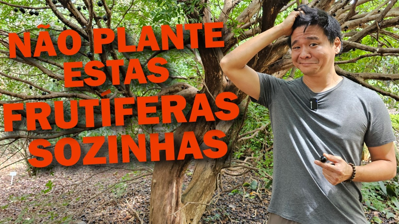 FRUTÍFERAS que não podem ser plantadas sozinhas.