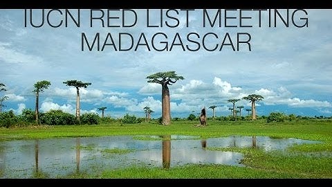 Turtle Conservancy - IUCN Red List Meeting Madagascar 2007-2008