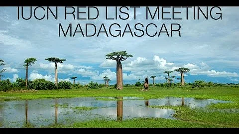 Turtle Conservancy - IUCN Red List Meeting Madagas...
