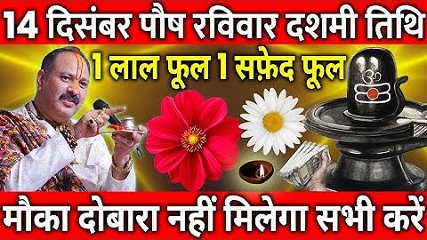 14 दिसंबर पौष रविवार दशमी तिथि के दिन 1 लाल फूल 1 सफ़ेद फूल वाला उपाय जरुर करे || Pradeep Ji Mishra 