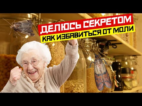 Пищевая моль | Делюсь секретом как избавиться от моли | Как избавиться от пищевой моли навсегда