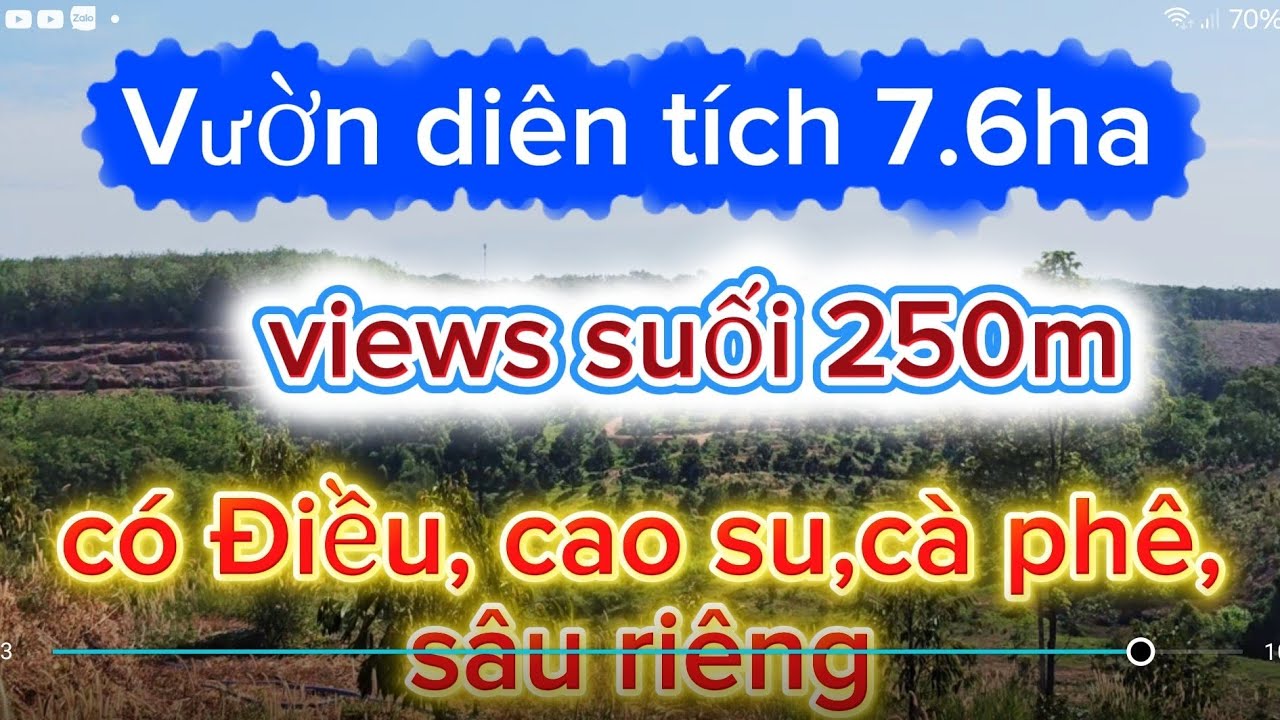 Månh vườn siêu rẻ có điều. cao su sâu riêng. views suối lớn đường chuẩn bị lên nhựa. giá 120/sào