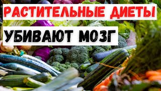 Вред Растительных Диет - Они Лишают Мозг Необходимого Питательного Вещества