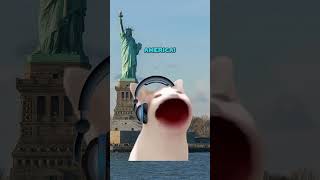 i Think We Have Russian On Our Team  cat Memes anomalyclips shorts