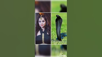 "Nagin Viral: Actress in Matching Saree vs. Identical Snake!#Snake #SnakeEncounter #LookAlikeSnake