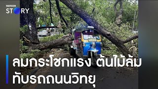 ลมกระโชกแรง ต้นไม้ล้มทับรถถนนวิทยุ | ข่าวเช้าเนชั่น | NationTV22