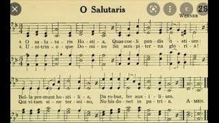 O Salutaris Hostia  organ