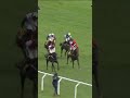 50/1! Apolon De Charnie wins the Triumph for Mullins ✅