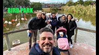 BirdPark - Gennaio 2021