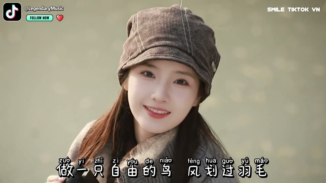 王一佳 - 自由的鸟 (抖音热播版) Zi You De Niao - Wang Yi Jia『我挣脱枷锁 告别世界的喧嚣，屏蔽掉 所有纷纷扰扰』MV推荐｜音画欣赏｜热门爆火版