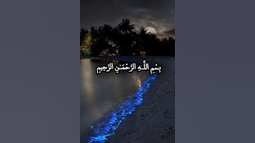 (يَا أَيُّهَا النَّبِيُّ لِمَ تُحَرِّمُ مَا أَحَلَّ اللَّهُ)بصوت القارئ شريف مصطفى