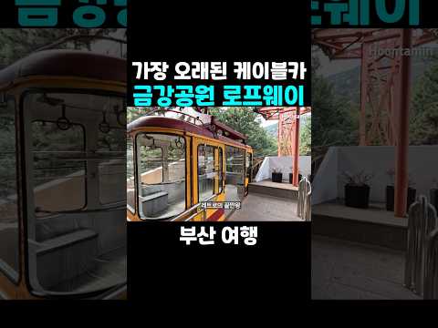 레트로의 끝판왕 부산 금강공원 <strong>케이블카</strong> 요약