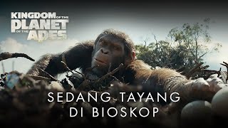 Kingdom of the Planet of the Apes | Cliff | In Cinemas Now