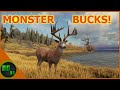 I Found an Incredible Spot for Monster Whitetails! Call Of The Wild