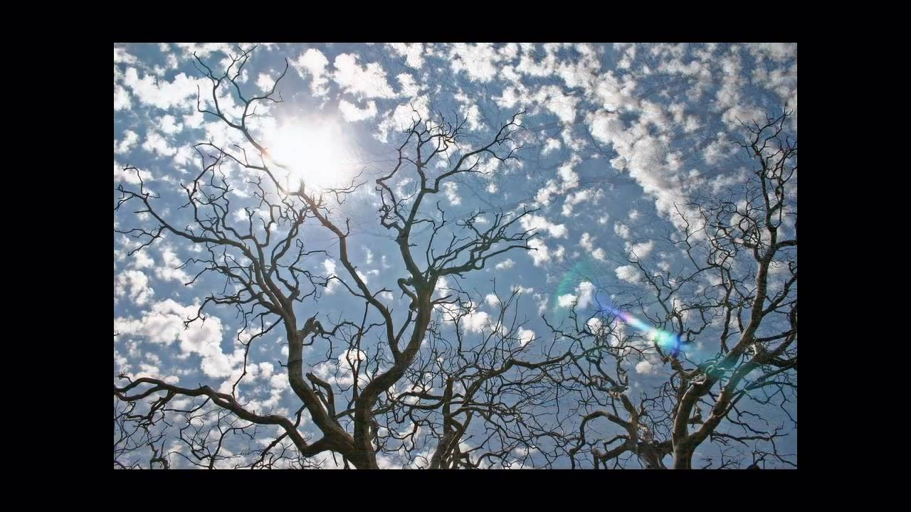danny suko - around the world (raindropz vs energizer remix edit)