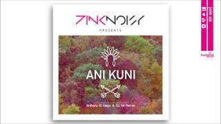 Pink Noisy - Ani Kuni (Anthony El Mejor & DJ Nil Remix)