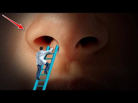 Βίντεο: Πού η γέφυρα της μύτης;