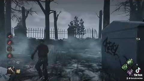 First time running into a hacker in DBD