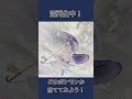 【ポケモン】75問目　理不尽AI逆再生クイズ！#shorts