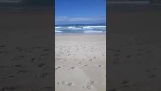 Lourinhã Lisboa Portugal praia areal Sul