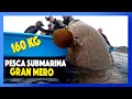 ✅TOP 10 Pesca Submarina⏩Captura de GRAN MERO-GUASA 160kg en Costa Rica