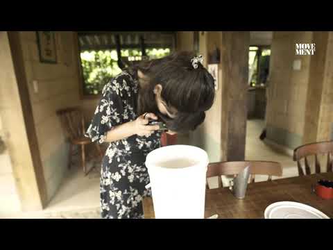 ბრაზილია, ფაზენდა ფლორენცა / Brazil, Fazenda florença