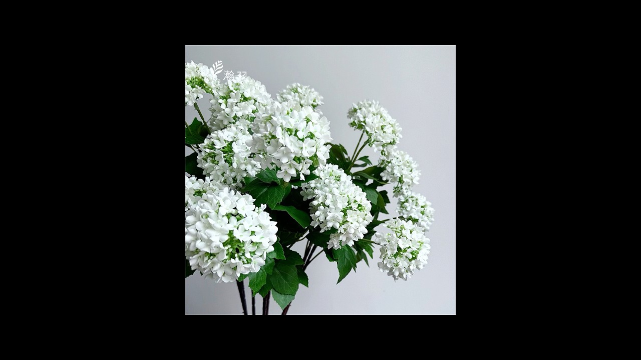 3-headed wooden hydrangea: 70 cm long, flower head diameter