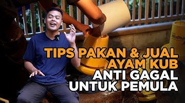 Tips en trucs voor een feilloze KUB-kippenhouderij voor beginners