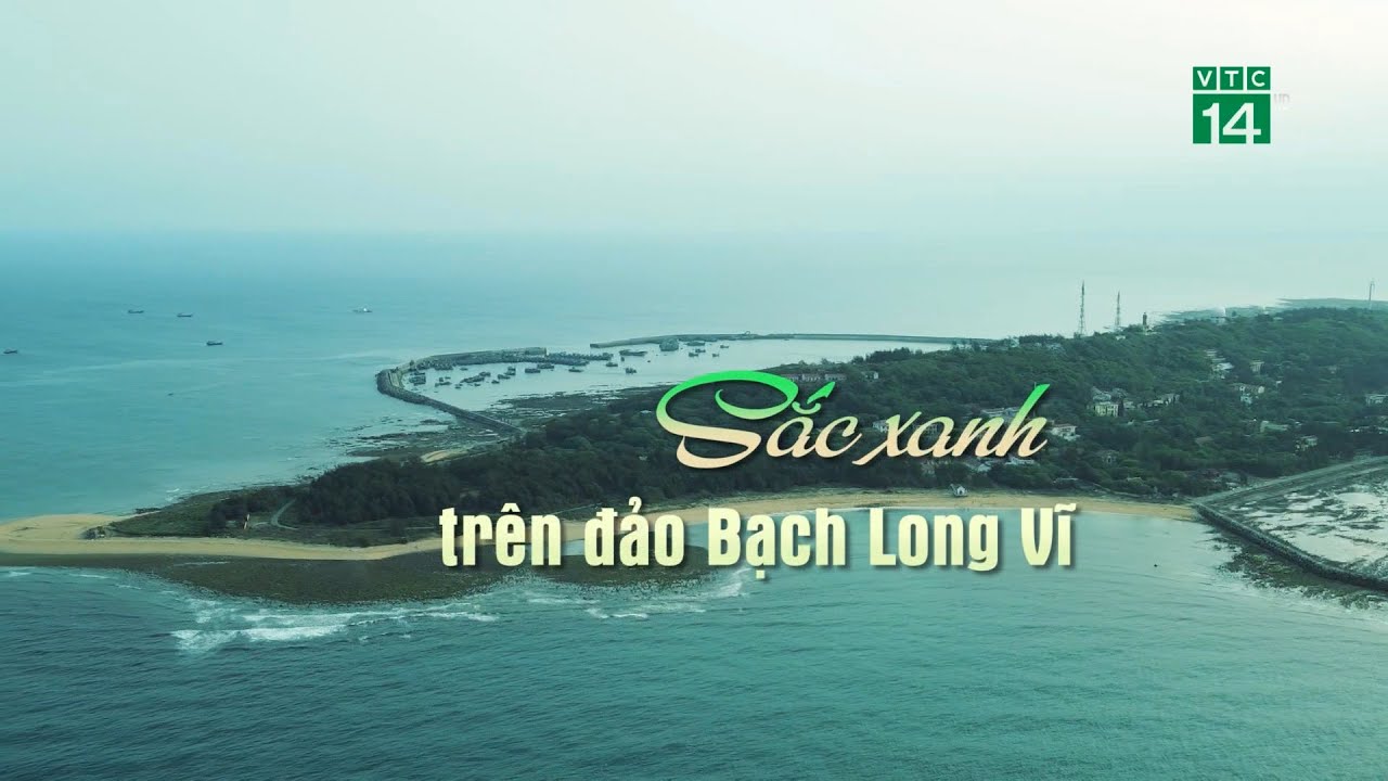 Sắc xanh trên đảo Bạch Long Vĩ| VTC14