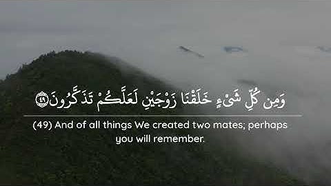 تلاوة هادئة تريح القلب 💚 ﴿فَفِرُّوا إِلَى اللَّهِ..﴾ (صلاة المغرب ٣/صفر/١٤٤٢هـ )