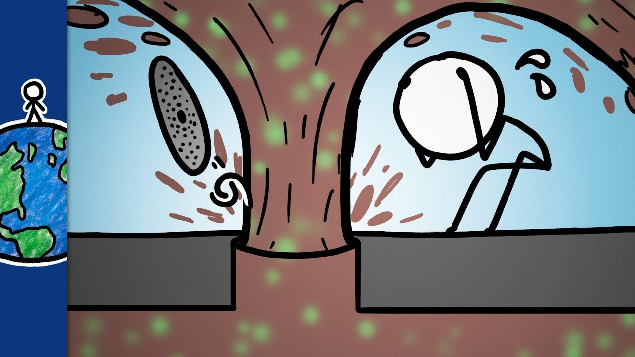 Почему не выдерживают сточные трубы? [Минутка Земли] - YouTube