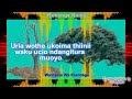 Wainaina Wa Kiandege Ruhonge Rumu Wainaina Wa Kiandege Ruhonge Rumu