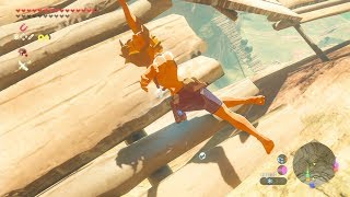 【ブレワイ(BotW)】依頼を受けて、敵の攻撃で吹き飛んでから転がリンクしてみた　 増量 【ドリカラ】