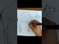 How To Draw A Camel Step By Step 