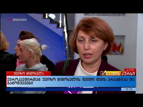 ევროკავშირთან უვიზო მიმოსვლის შვიდი თვის პრაქტიკა და გამოწვევები