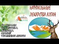 Аптека Алтая. Натуральные лекарства.