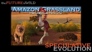 Speculative Evolution / Amazon grassland