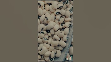 Sample and Population | Statistics    #dataanalytics #statistics #datascience