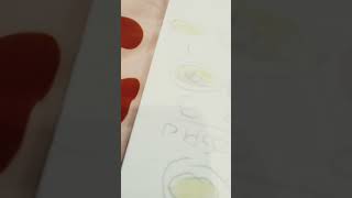 Budgie egg development #egg #budgie #development