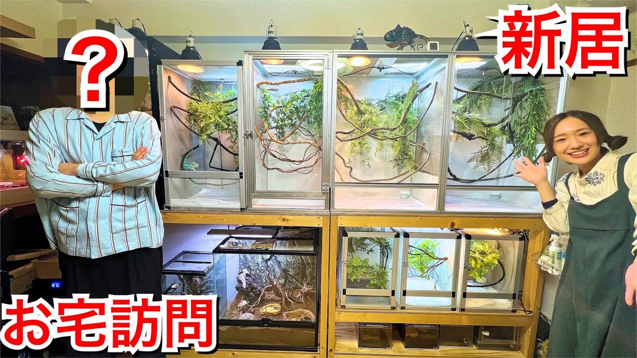 生き物35匹以上飼育するカメレオンマニアの新居が凄すぎた…！！